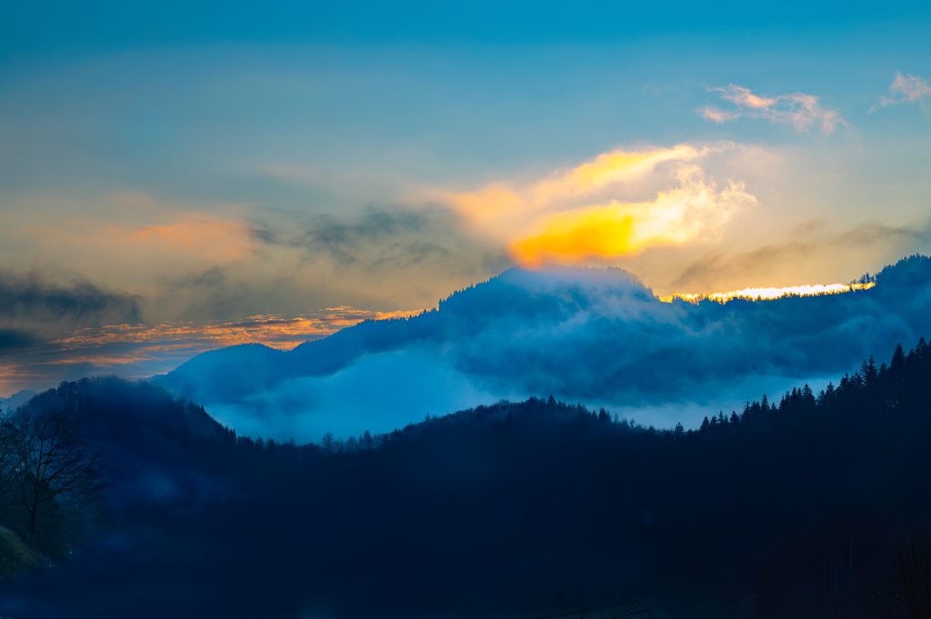 ©Harag Kornália