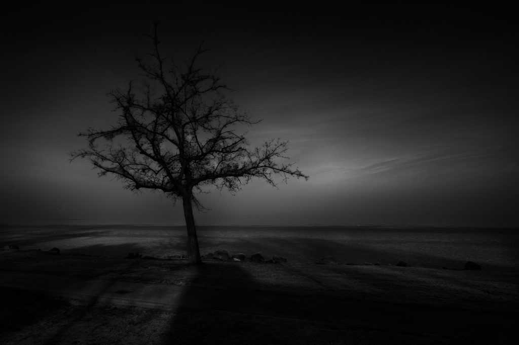©Harag Kornália