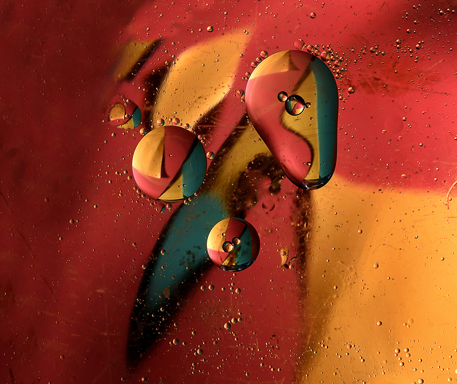  ©Dudás Ágnes